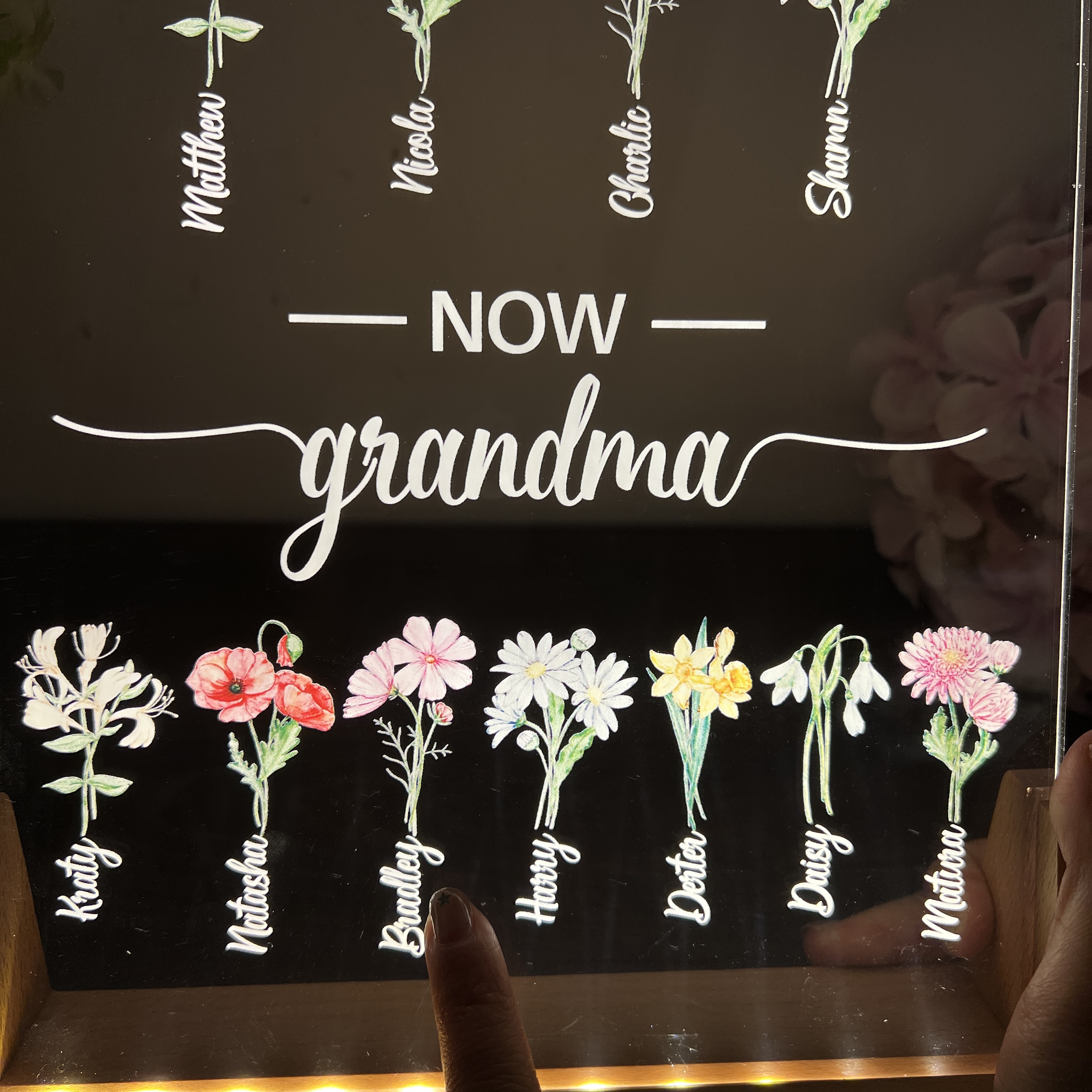 First Mom Now Grandma Birth Flower Family Customized U Light LED Frame