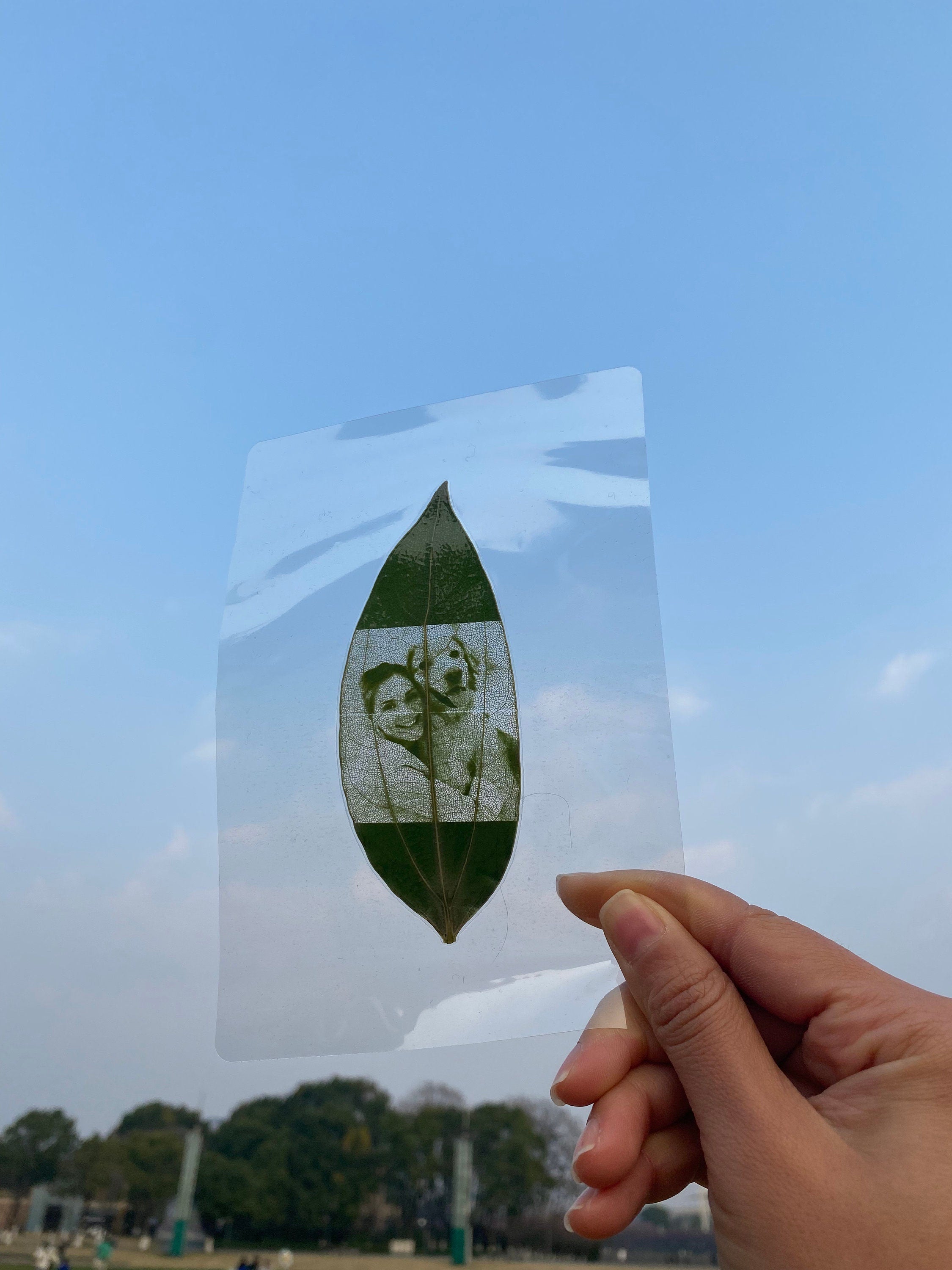 Leaf Carving Art, Personalized Pet Art