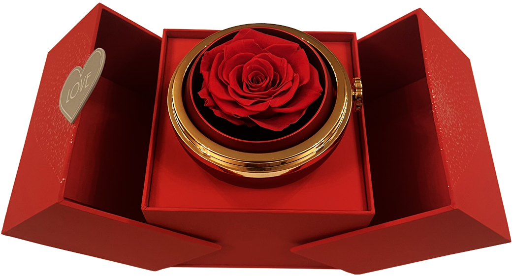 Heart Projection Necklace Gift of Love