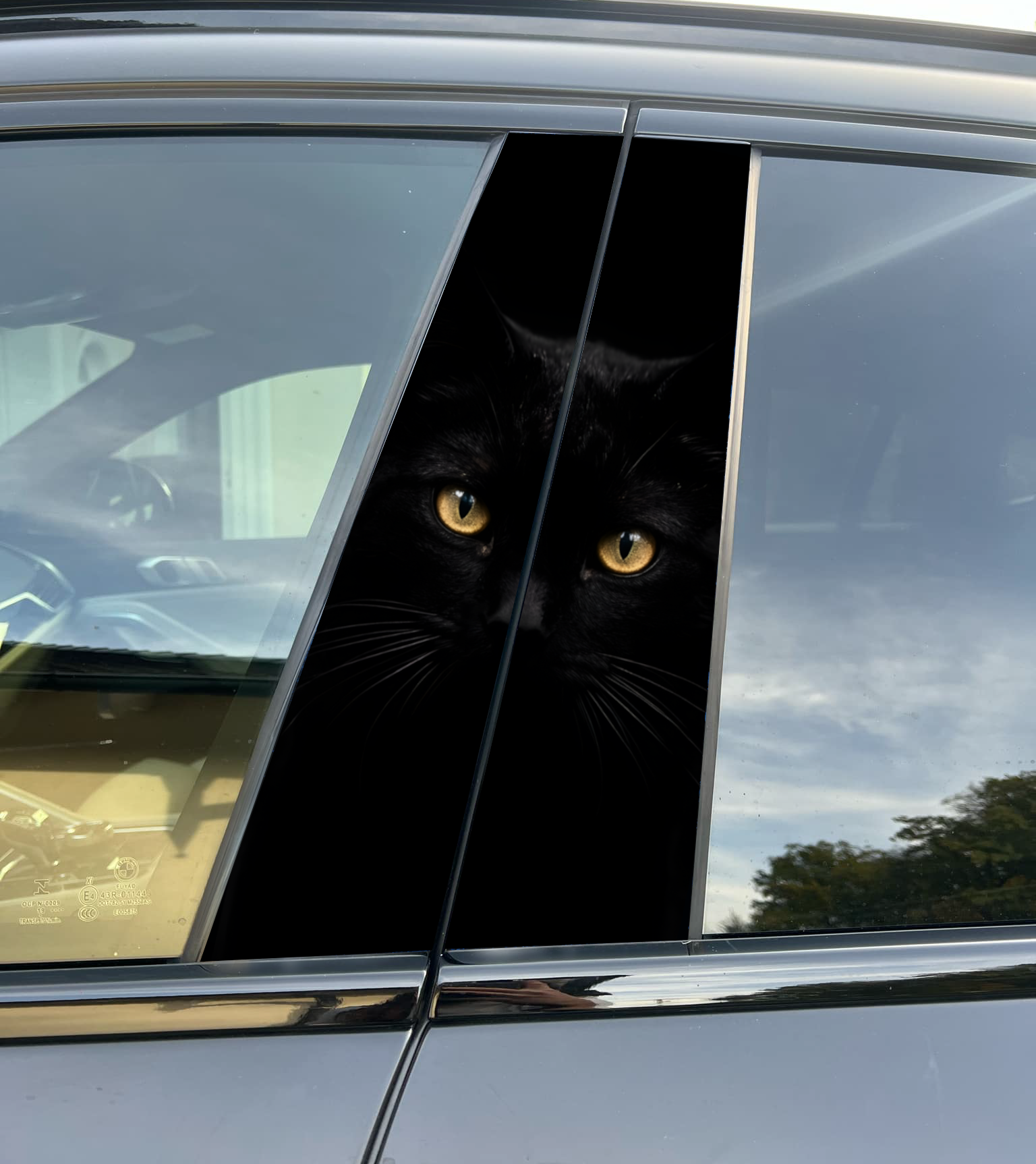 Cat Car Pillar Wrap Premium Vinyl B-Pillar Decal, Universal Fit