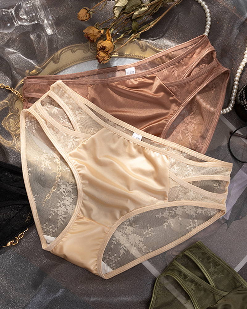 CURVY-FAJA | Translucent Lace Hollow Briefs
