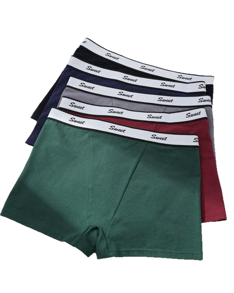 Cotton Low Waist Stretch Sport Full Coverage Boyshorts Underwear