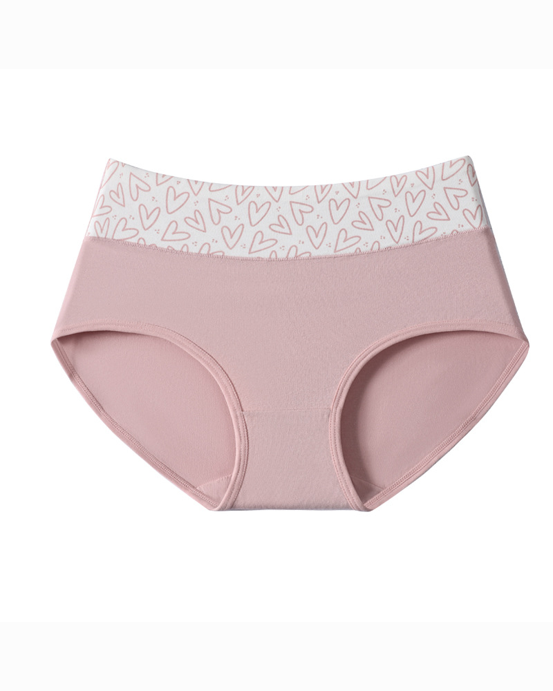 Cute Pure Cotton Antibacterial Briefs Underwear
