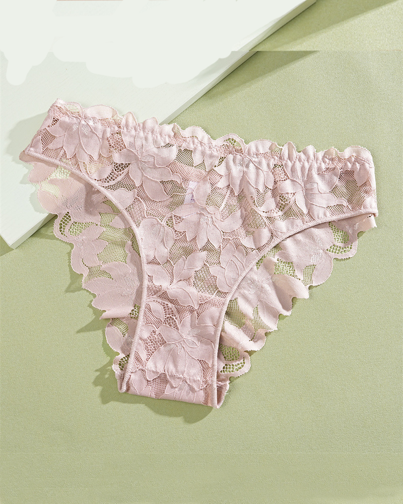 Bikini Semi Transparent Low Rise Lace Semi Covering Buttocks Briefs
