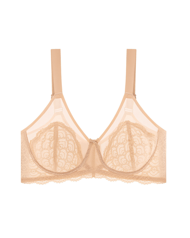 Sheer Lace Mesh Bra-Curvy-Faja