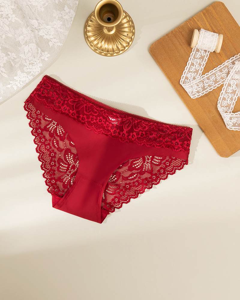 Lace Panel Briefs
