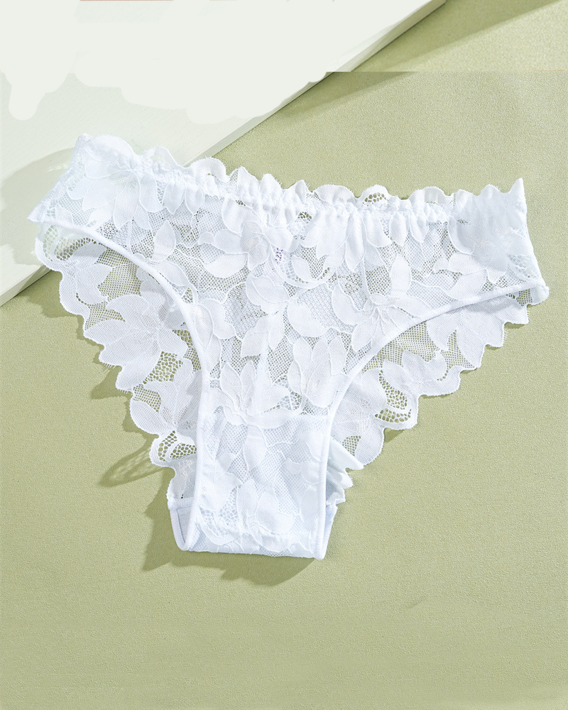 Bikini Semi Transparent Low Rise Lace Semi Covering Buttocks Briefs