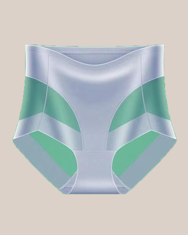 Sexy Mesh-Paneled Butt-Lifting Panties