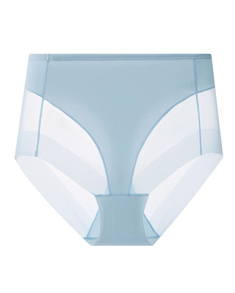 Hip-Lifting Mesh Transparent High-Elastic Briefs