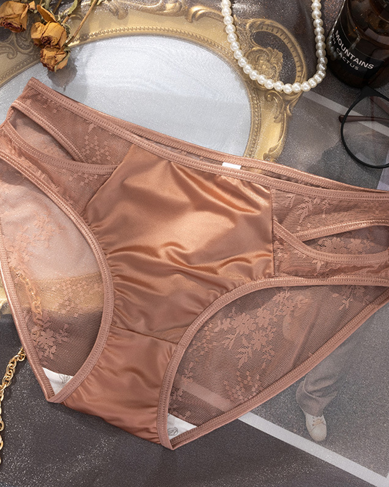 Translucent Lace Hollow Briefs