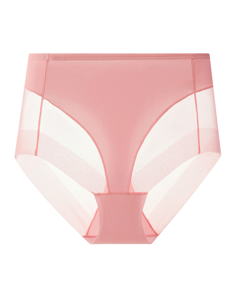 Hip-Lifting Mesh Transparent High-Elastic Briefs