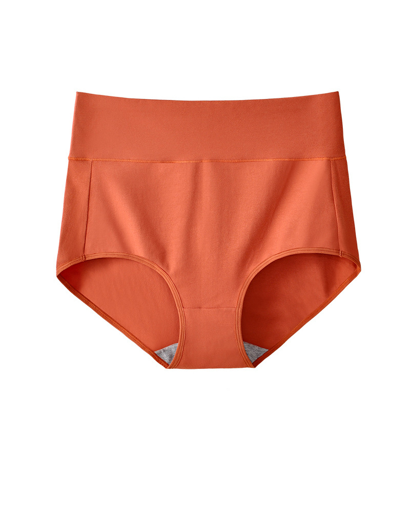 High Waist Cotton Briefs