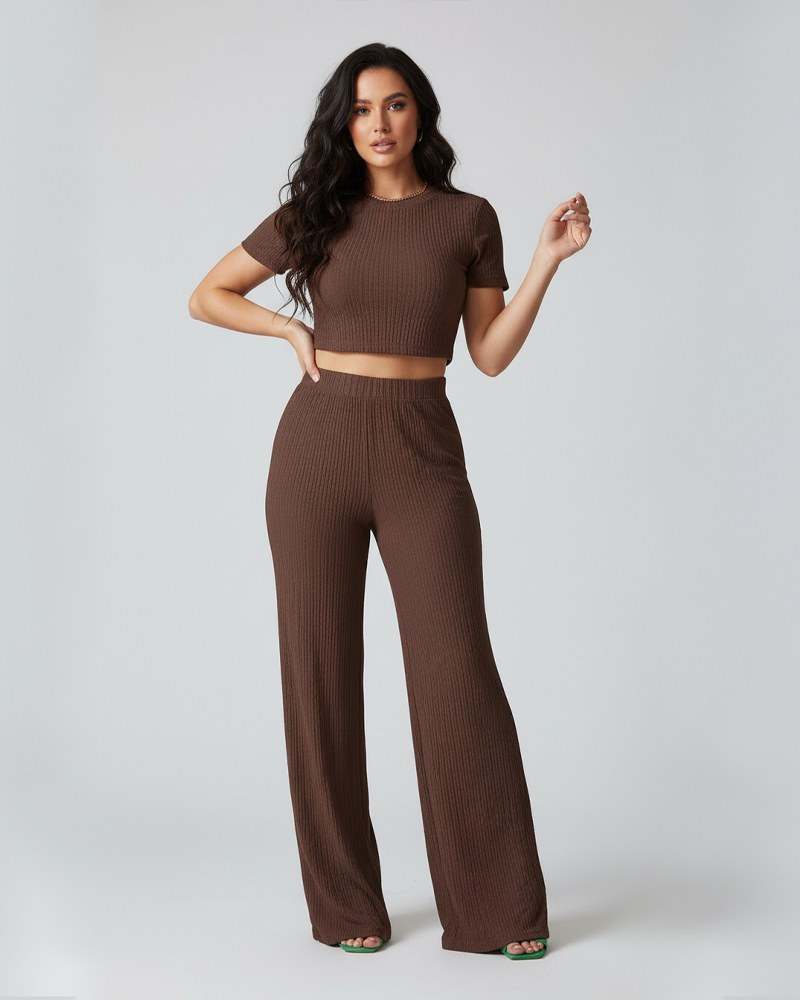 Stretchy Solid Color Short Sleeve Top & High Waist Wide Leg Pants Set