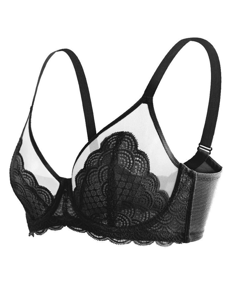 Sheer Lace Mesh Bra-Curvy-Faja