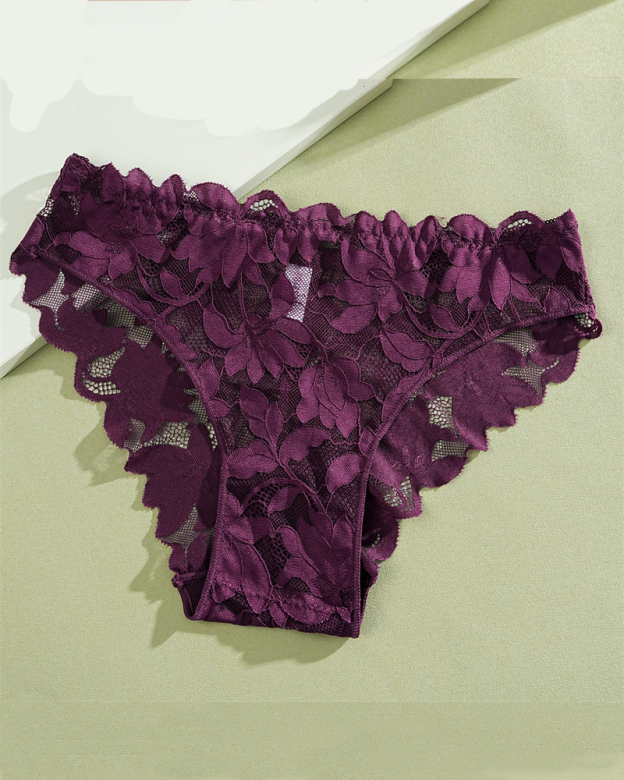 Bikini Semi Transparent Low Rise Lace Semi Covering Buttocks Briefs