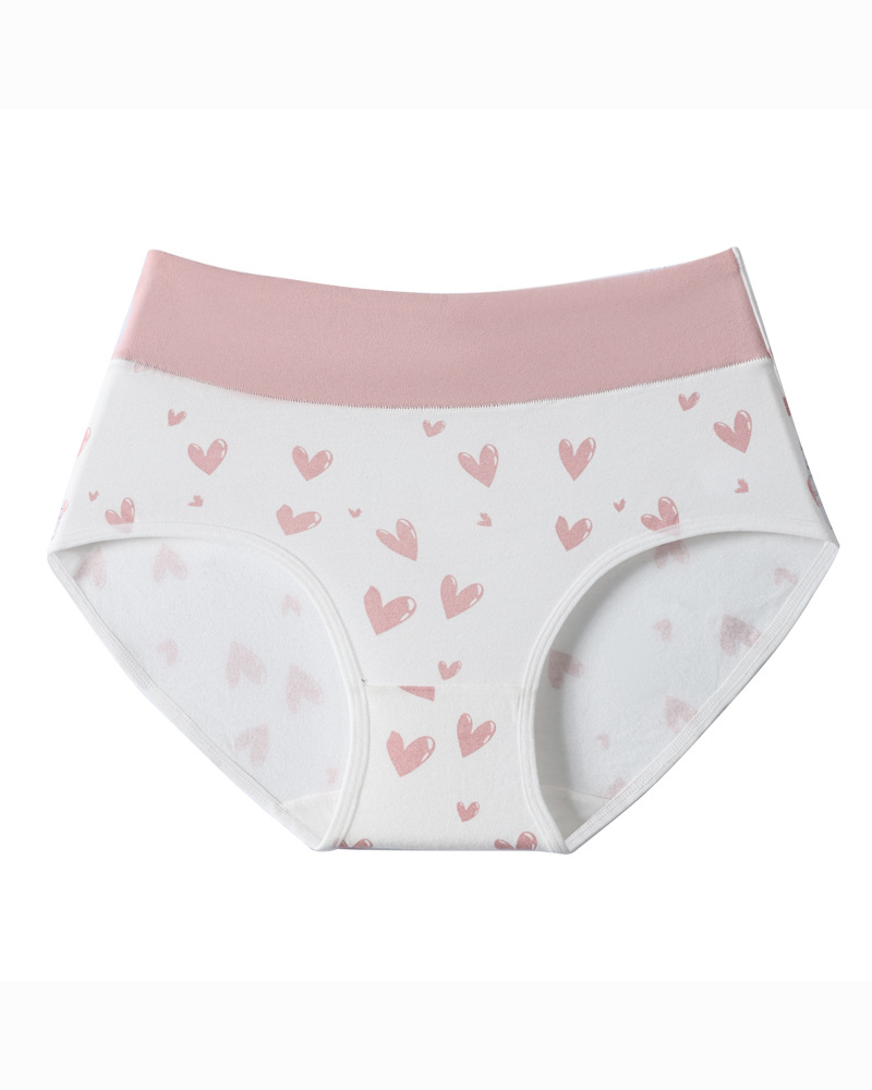 Cute Pure Cotton Antibacterial Briefs Underwear