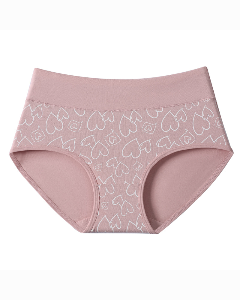 Cute Pure Cotton Antibacterial Briefs Underwear