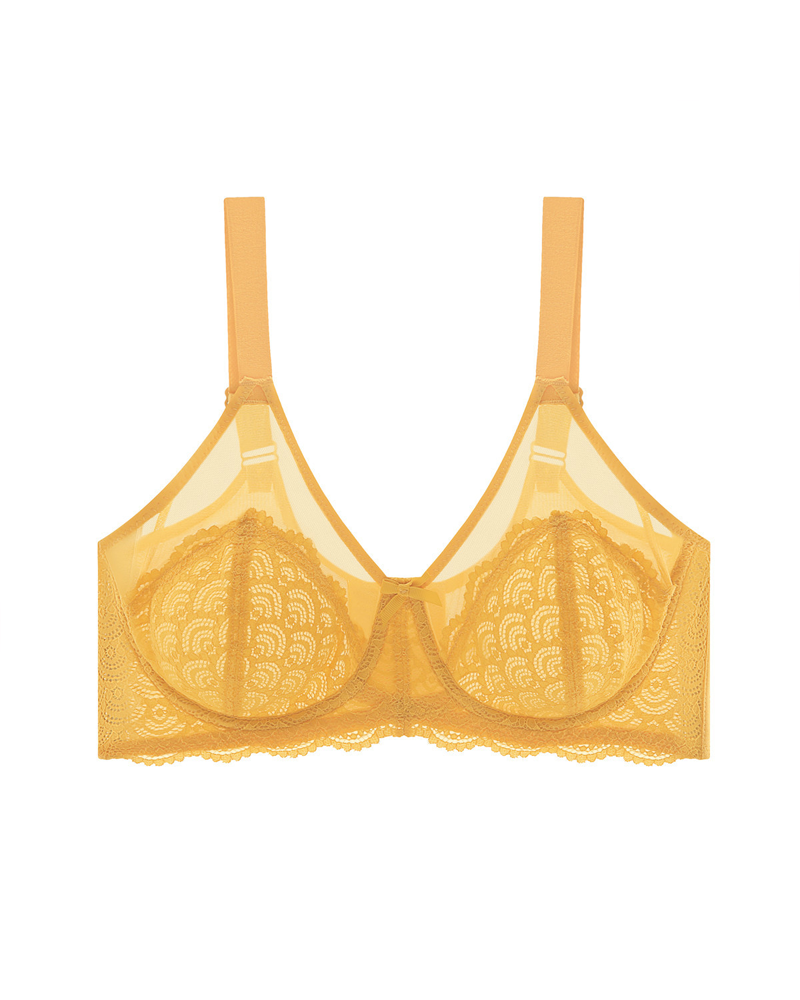 Sheer Lace Mesh Bra-Curvy-Faja