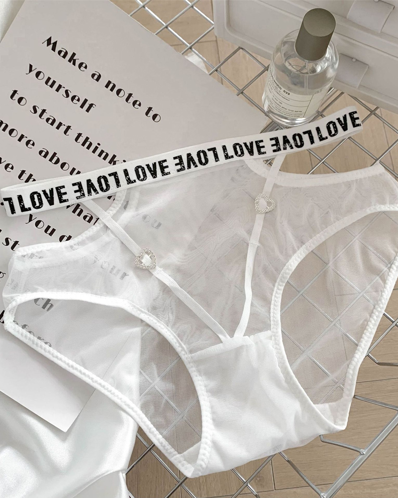 Lace Transparent Mesh Panties