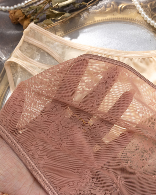 Translucent Lace Hollow Briefs