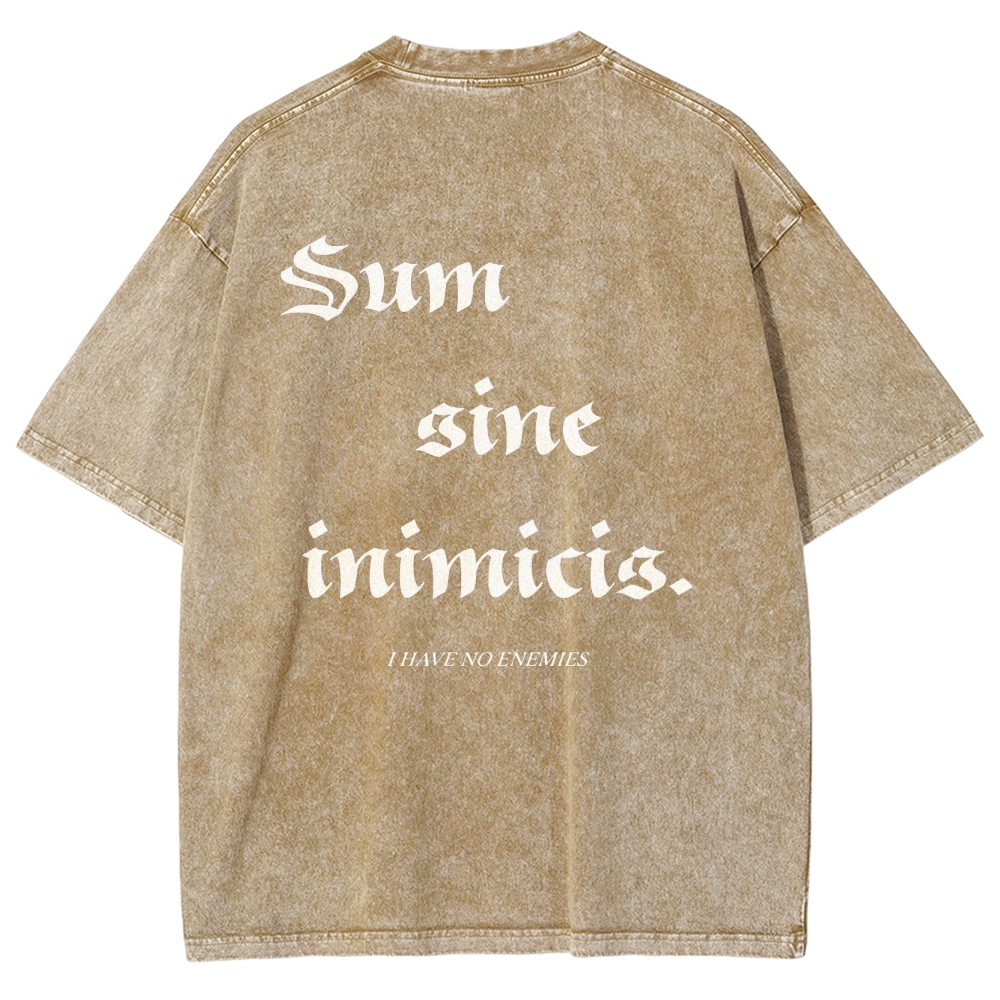 Vinland Saga Unisex Fit Washed T-Shirt