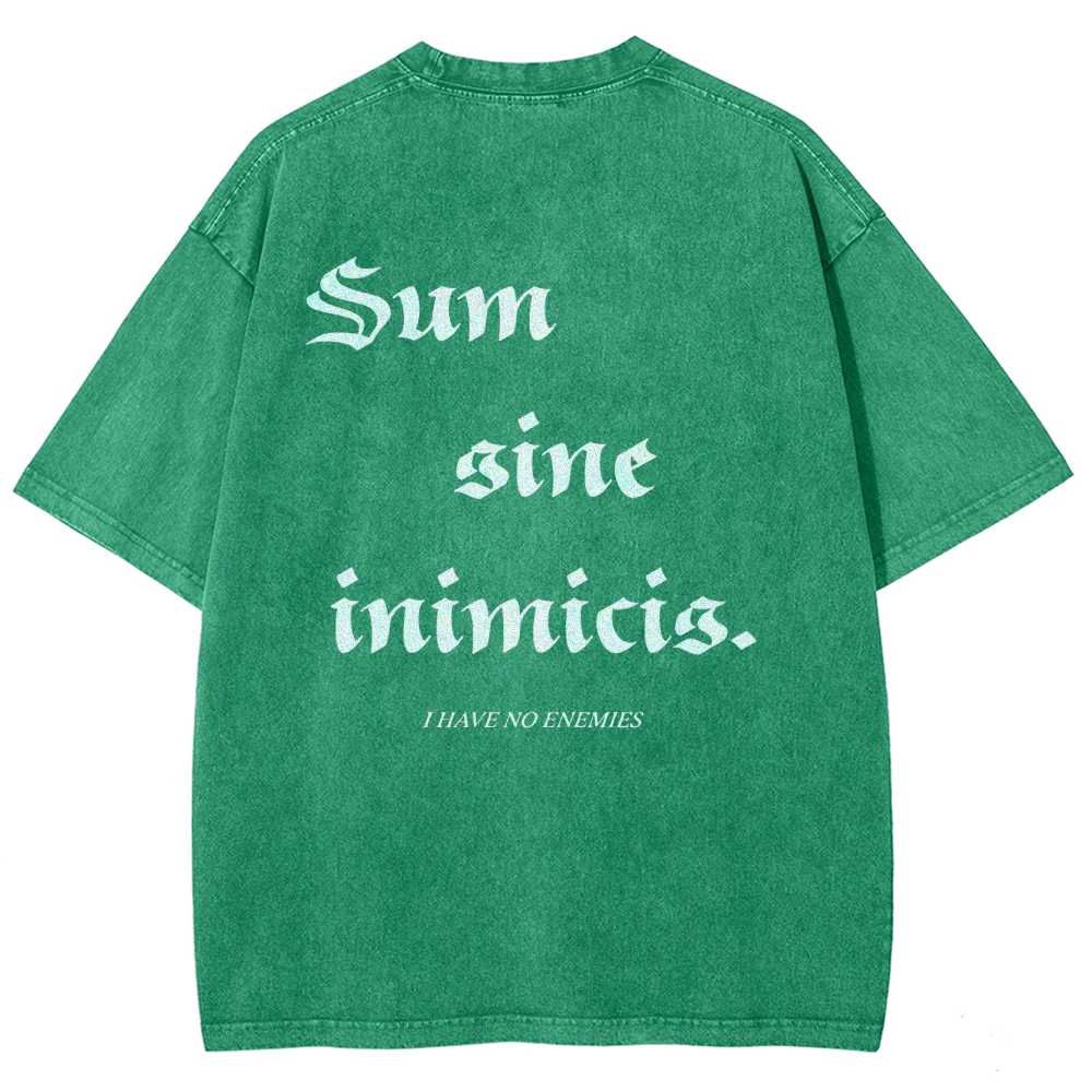 Vinland Saga Unisex Fit Washed T-Shirt