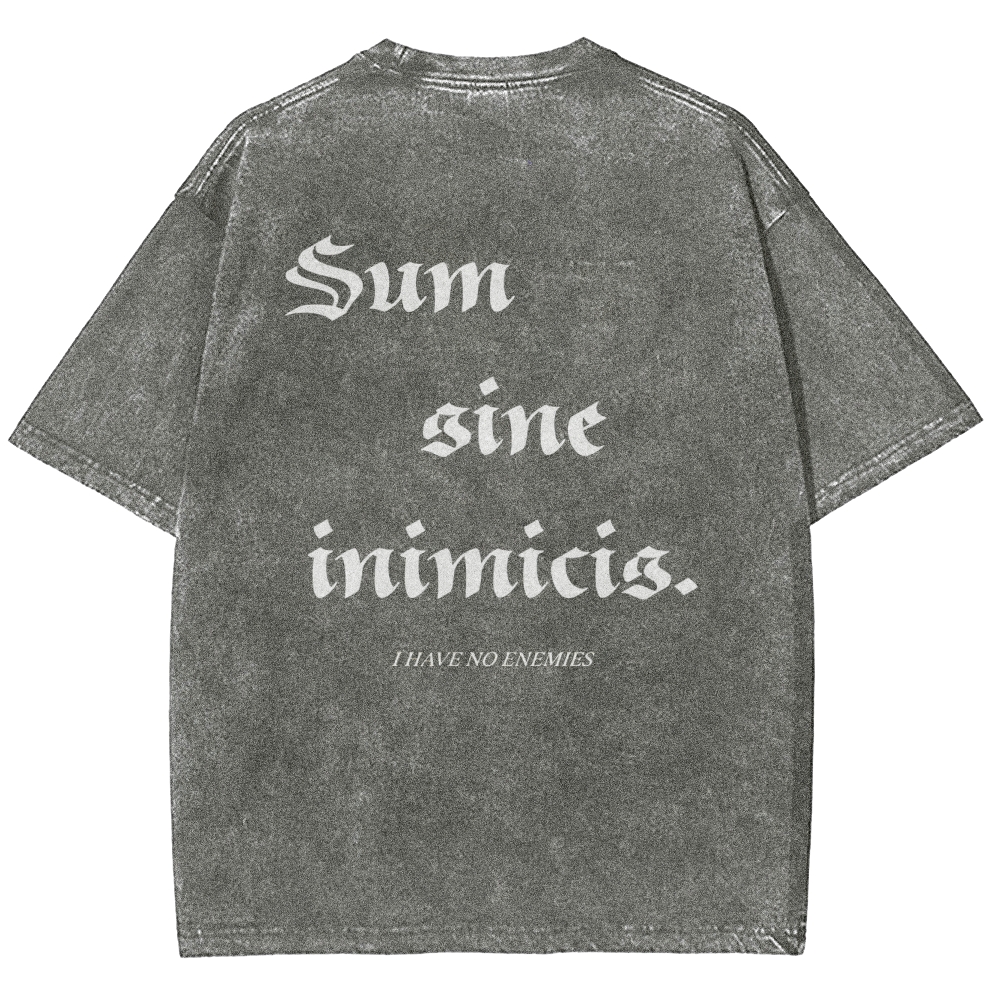 Vinland Saga Unisex Fit Washed T-Shirt