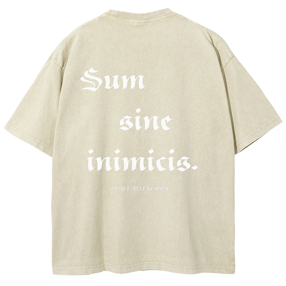 Vinland Saga Unisex Fit Washed T-Shirt