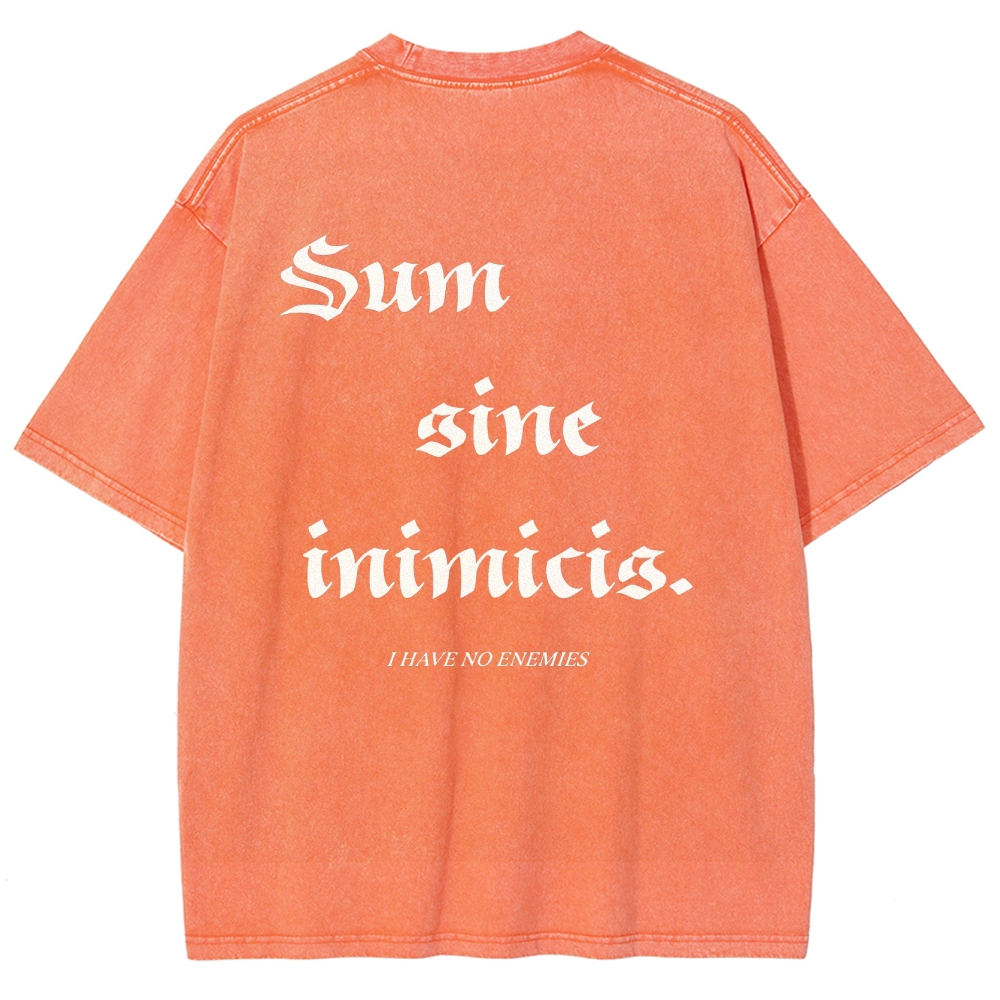 Vinland Saga Unisex Fit Washed T-Shirt