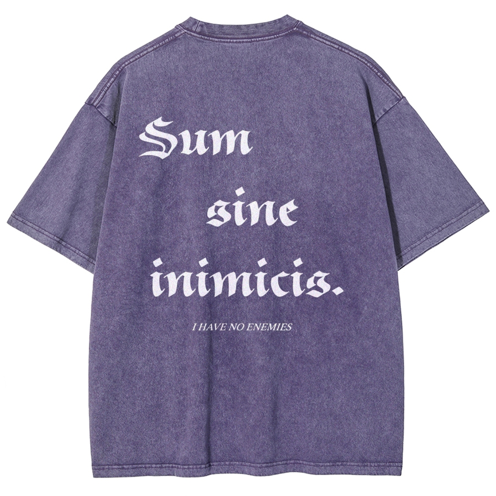 Vinland Saga Unisex Fit Washed T-Shirt