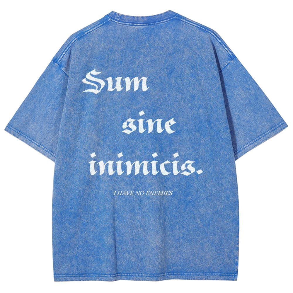 Vinland Saga Unisex Fit Washed T-Shirt