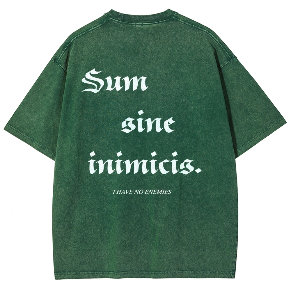 Vinland Saga Unisex Fit Washed T-Shirt