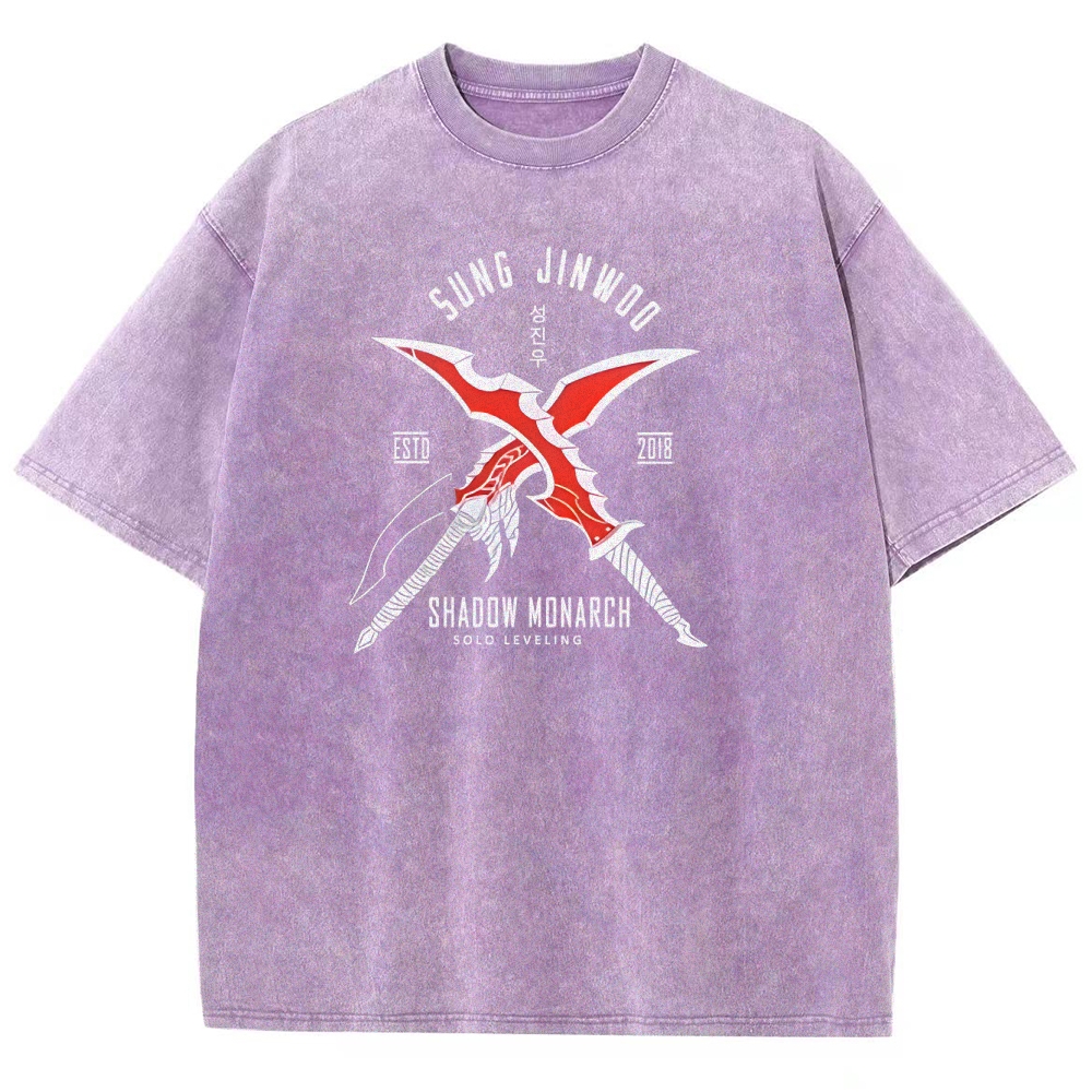 Solo Leveling Unisex Fit Washed T-Shirt