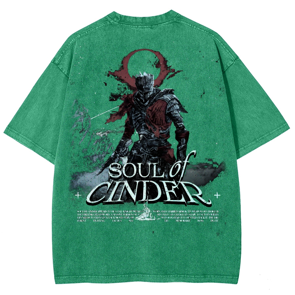 Dark Souls Unisex Fit Washed T-Shirt 2503003254