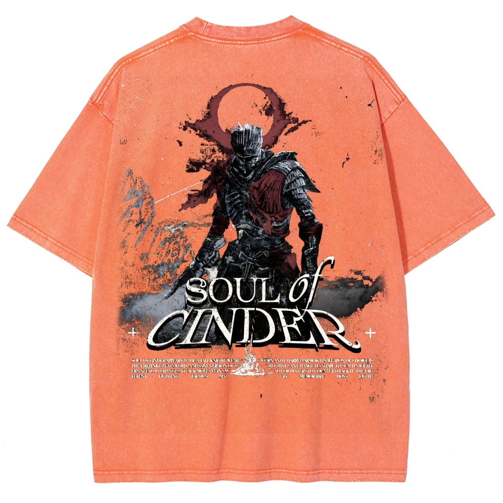 Dark Souls Unisex Fit Washed T-Shirt 2503003254