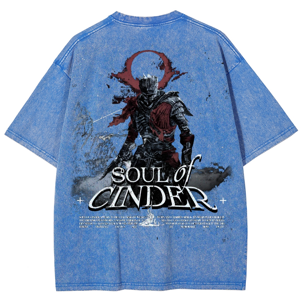 Dark Souls Unisex Fit Washed T-Shirt 2503003254
