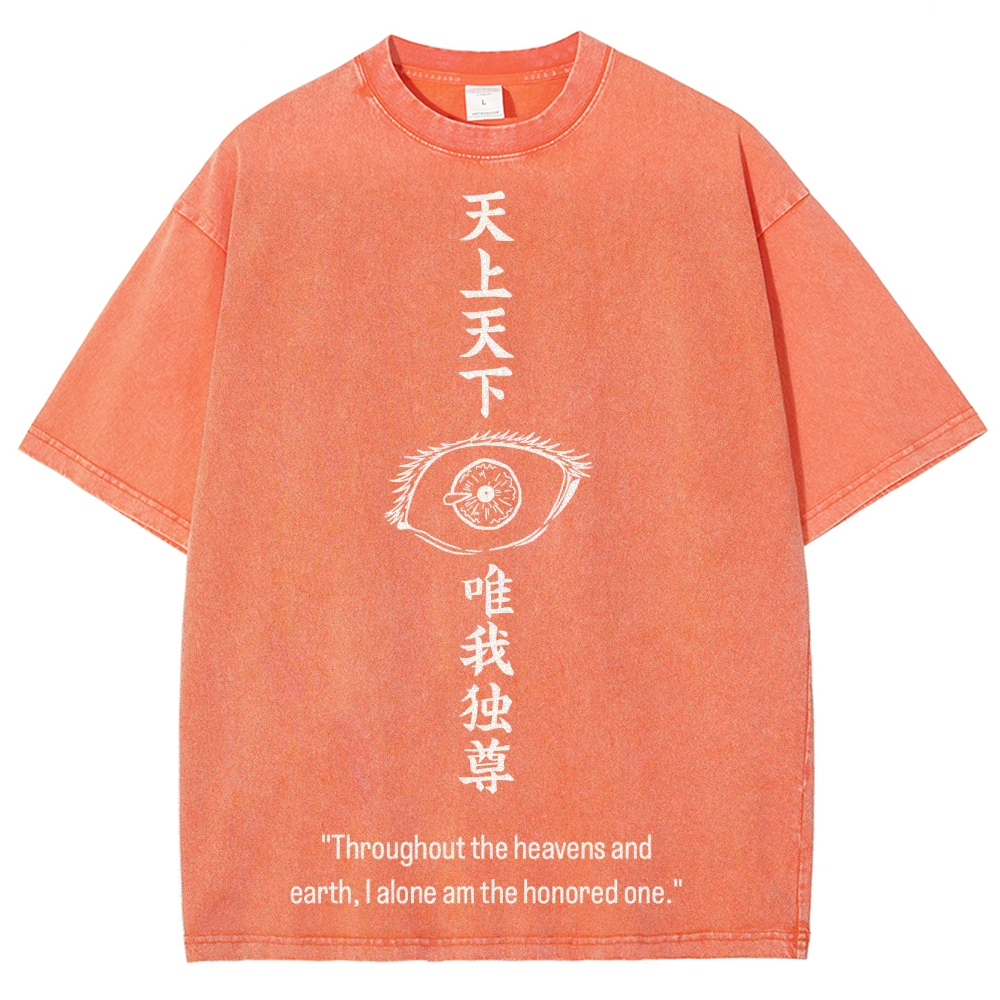 Jujutsu Kaisen Gojo Satoru Unisex Fit Washed T-Shirt 2504005203