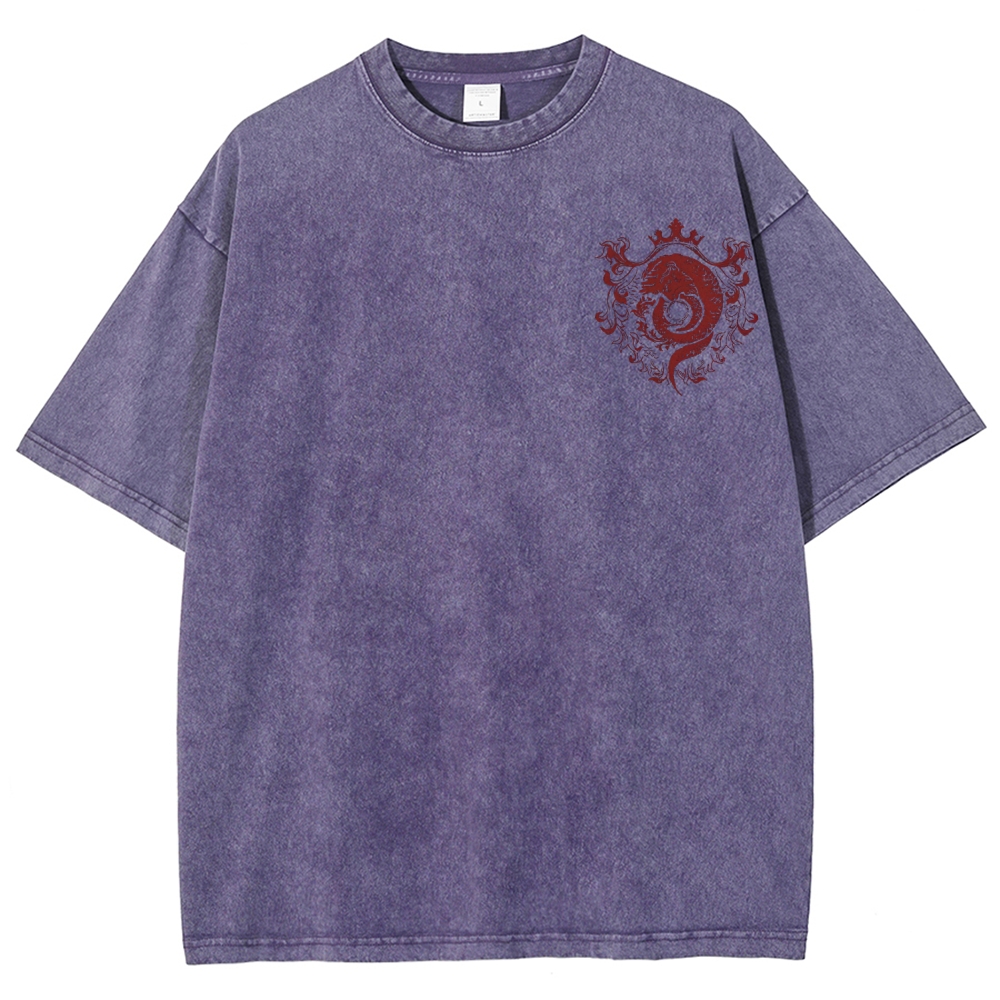 Unisex Fit Washed T-Shirt 2507030595