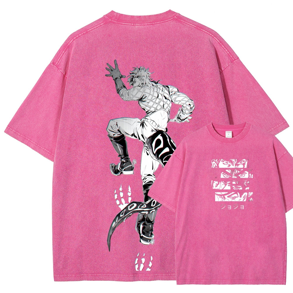 JoJo's Bizarre Adventure SBR Diego Brando Unisex Fit Washed T-Shirt 2508007104