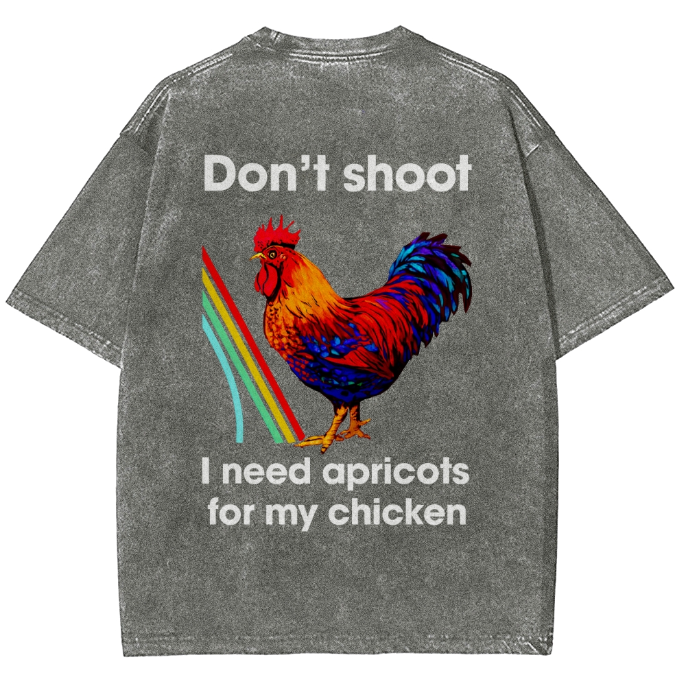 ARC Raiders Unisex Fit Washed T-Shirt 2511030540