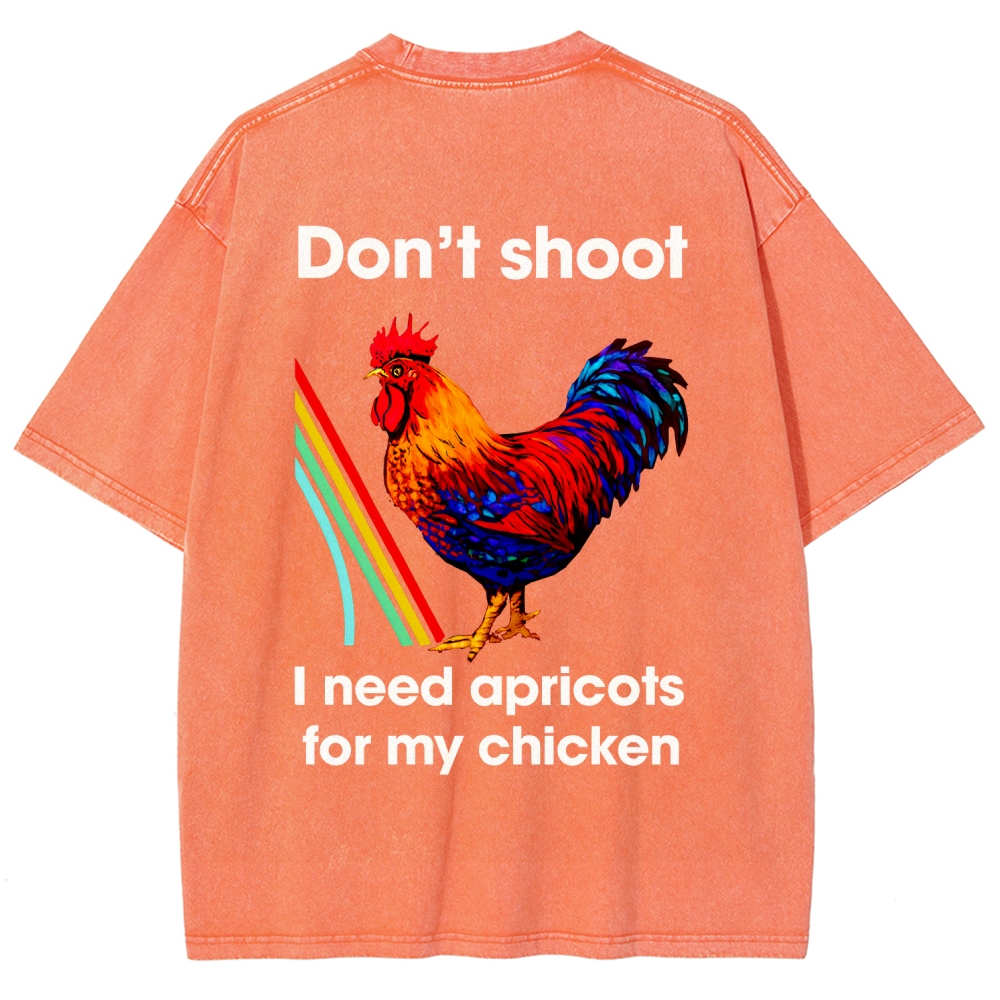 ARC Raiders Unisex Fit Washed T-Shirt 2511030540