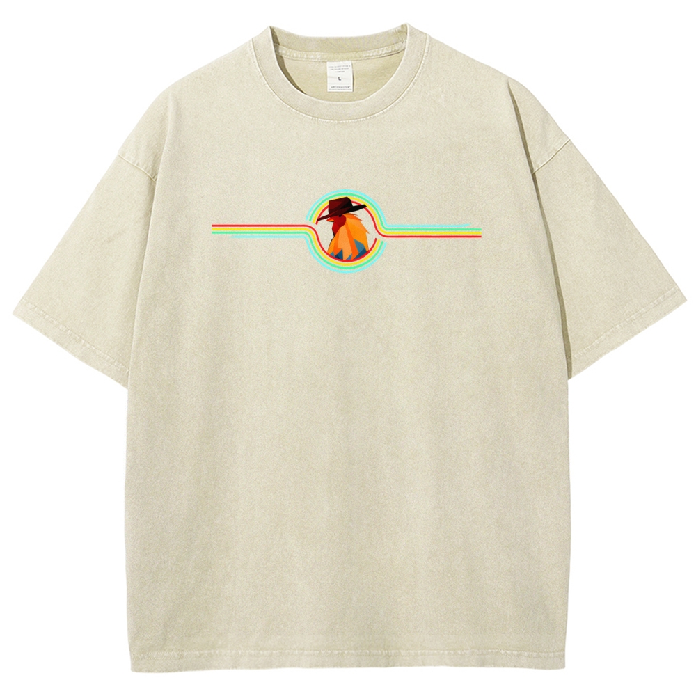 Unisex Fit Washed T-Shirt 2512020043