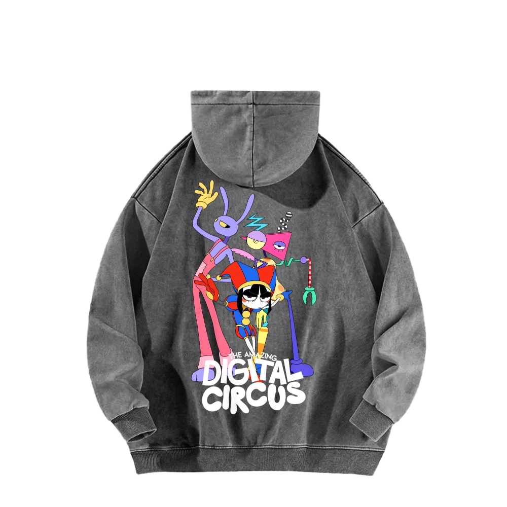 Unisex Washed Hoodie 2512022363