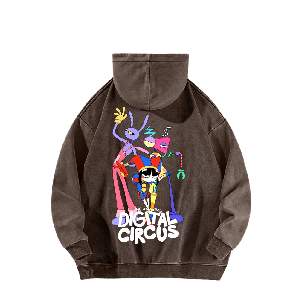 Unisex Washed Hoodie 2512022363