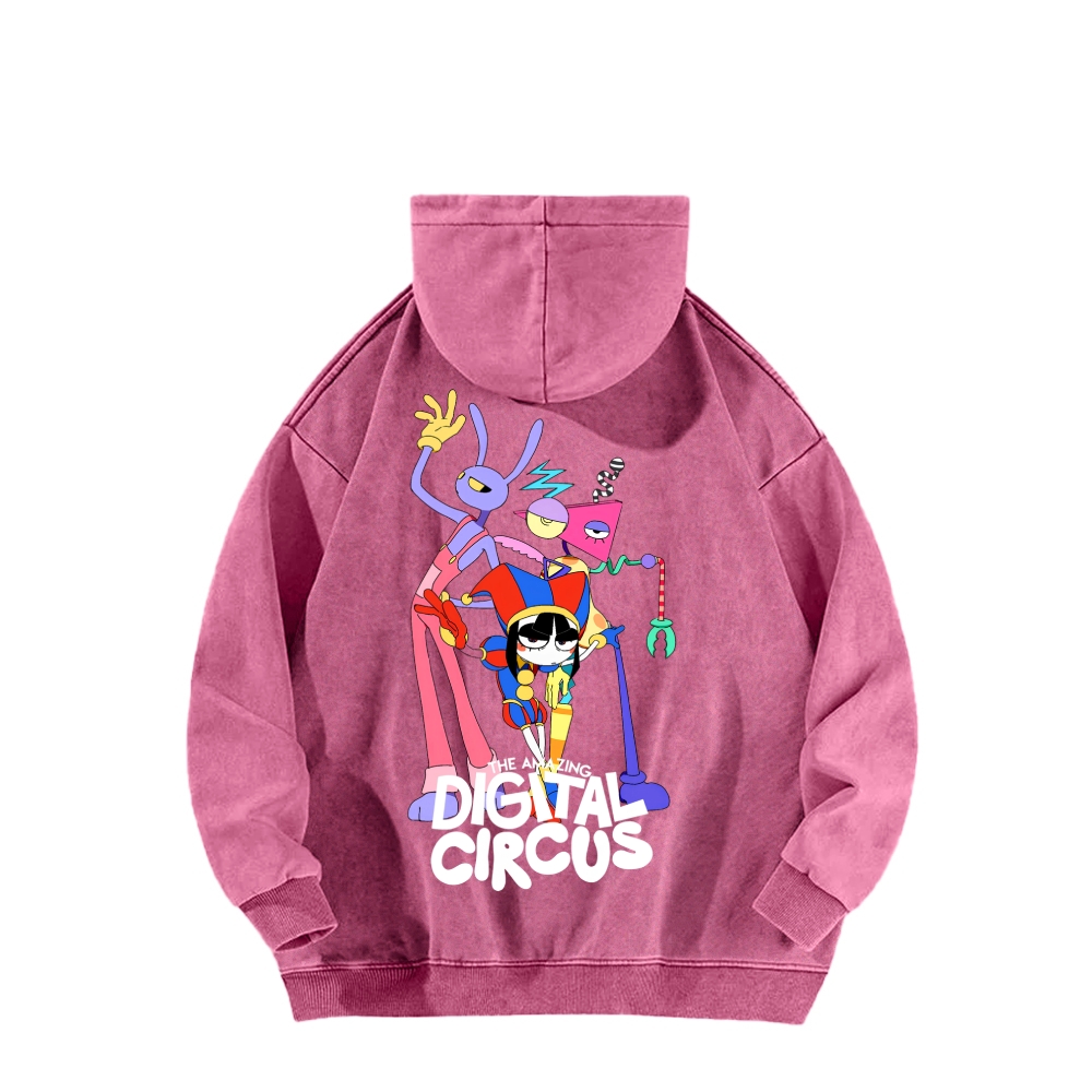 Unisex Washed Hoodie 2512022363