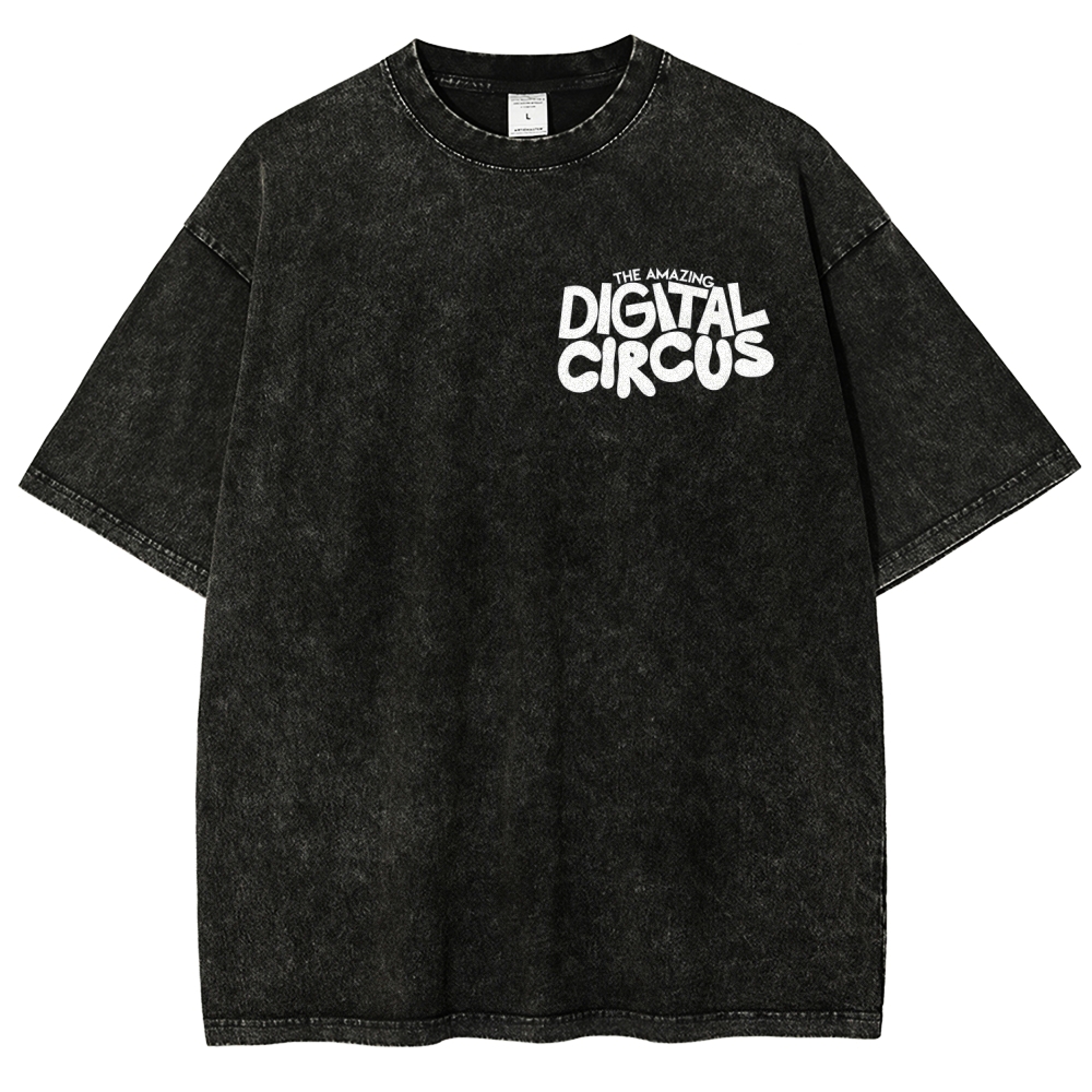 Digital Unisex Fit Washed T-Shirt 2512022651