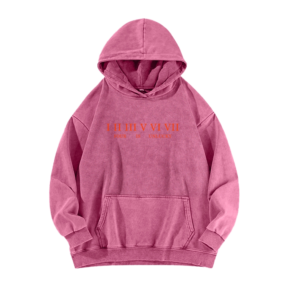 Unisex Washed Hoodie 2601002949
