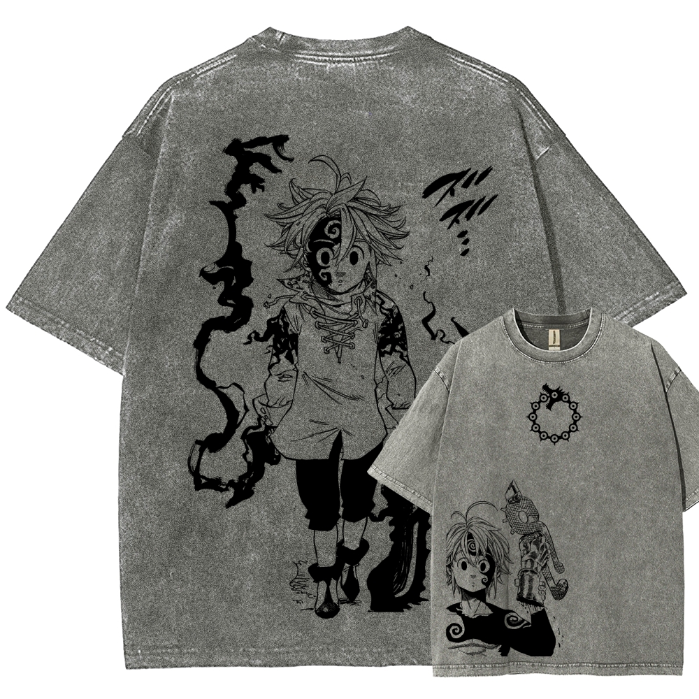 Seven Deadly Sins Unisex Fit Washed T-Shirt 2601007524