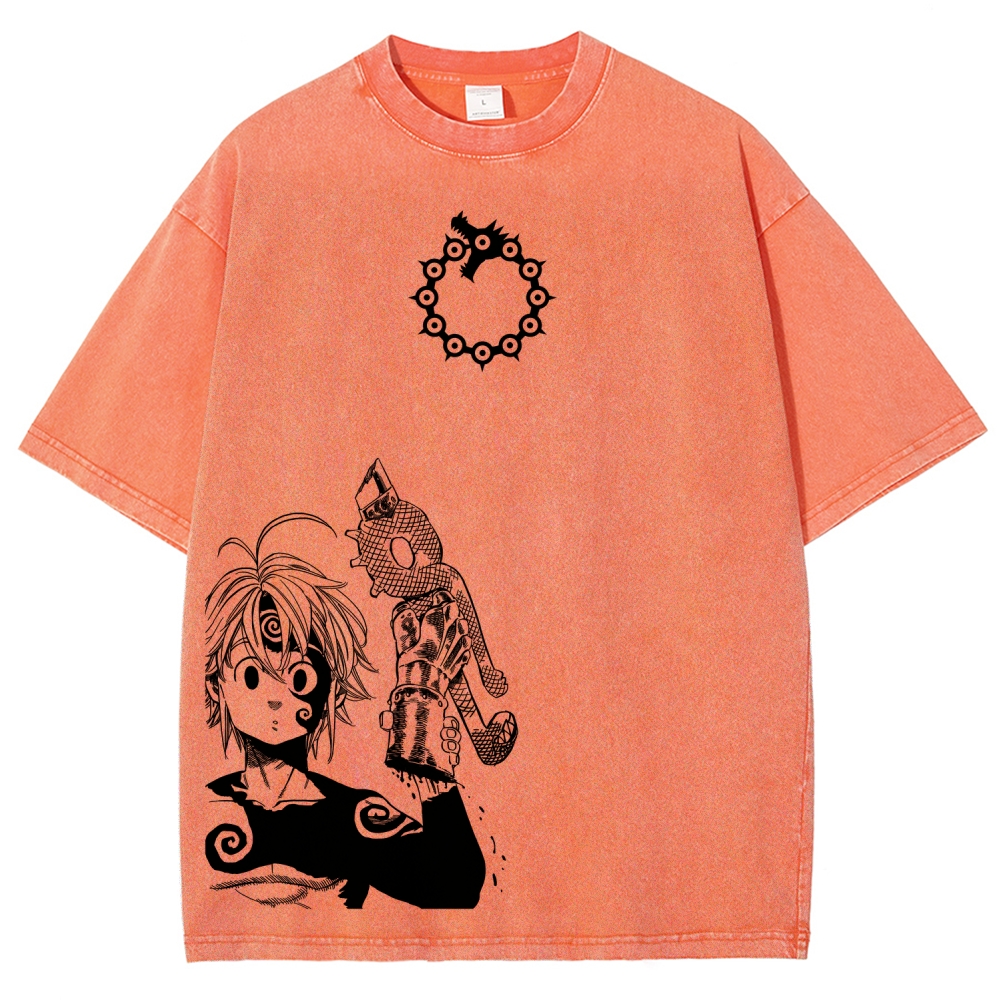 Seven Deadly Sins Unisex Fit Washed T-Shirt 2601007524