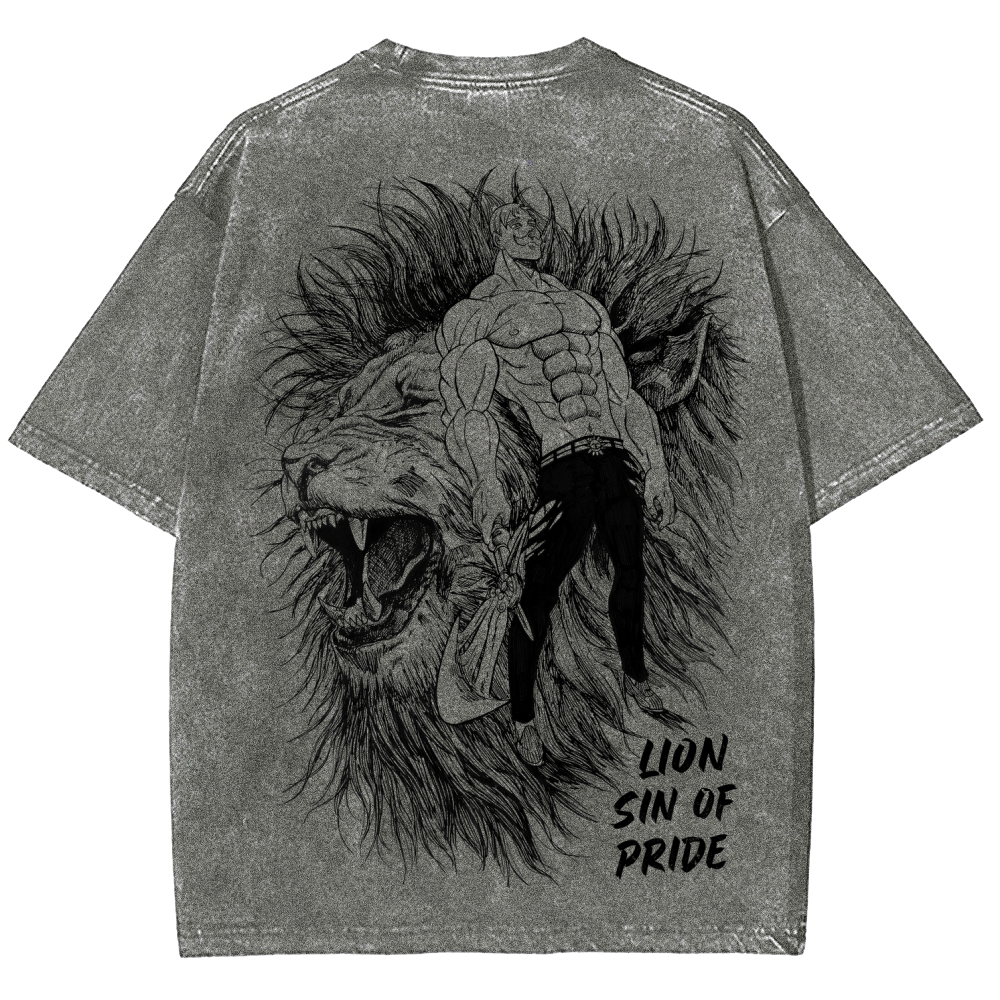 Seven Deadly Sins Unisex Fit Washed T-Shirt 2601014729